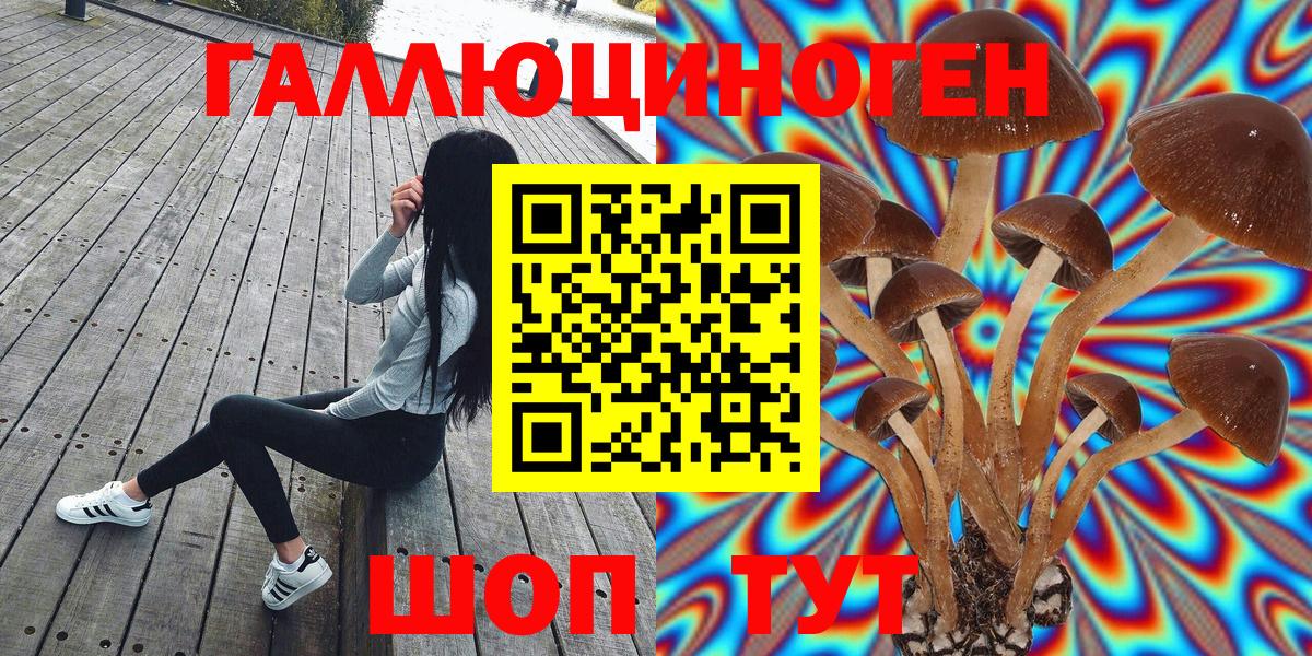 Псилоцибиновые грибы прущие грибы  Псилоцибиновые грибы мицелий  Вход с VPN  Семёнов 